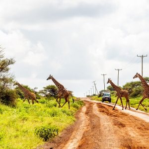 3 Days Amboseli national Park