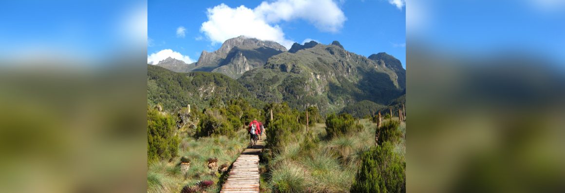 Rwenzori National Park Uganda
