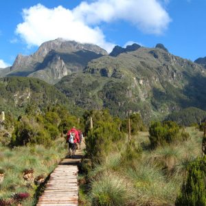 Rwenzori National Park Uganda