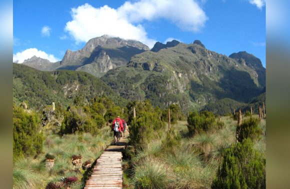 Rwenzori National Park Uganda