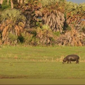 Tanzania – Katavi National Park