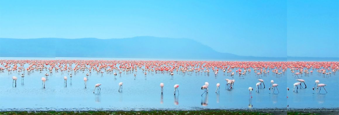Lake Nakuru National Park Kenya