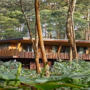 One&Only Gorilla’s Nest One&Only Gorilla’s Nest