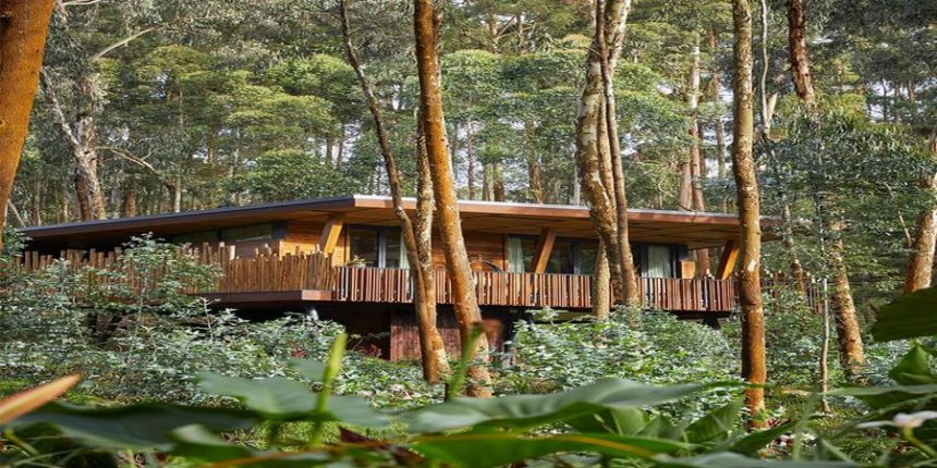 One&Only Gorilla’s Nest