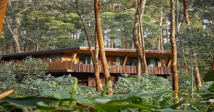 One&Only Gorilla’s Nest One&Only Gorilla’s Nest