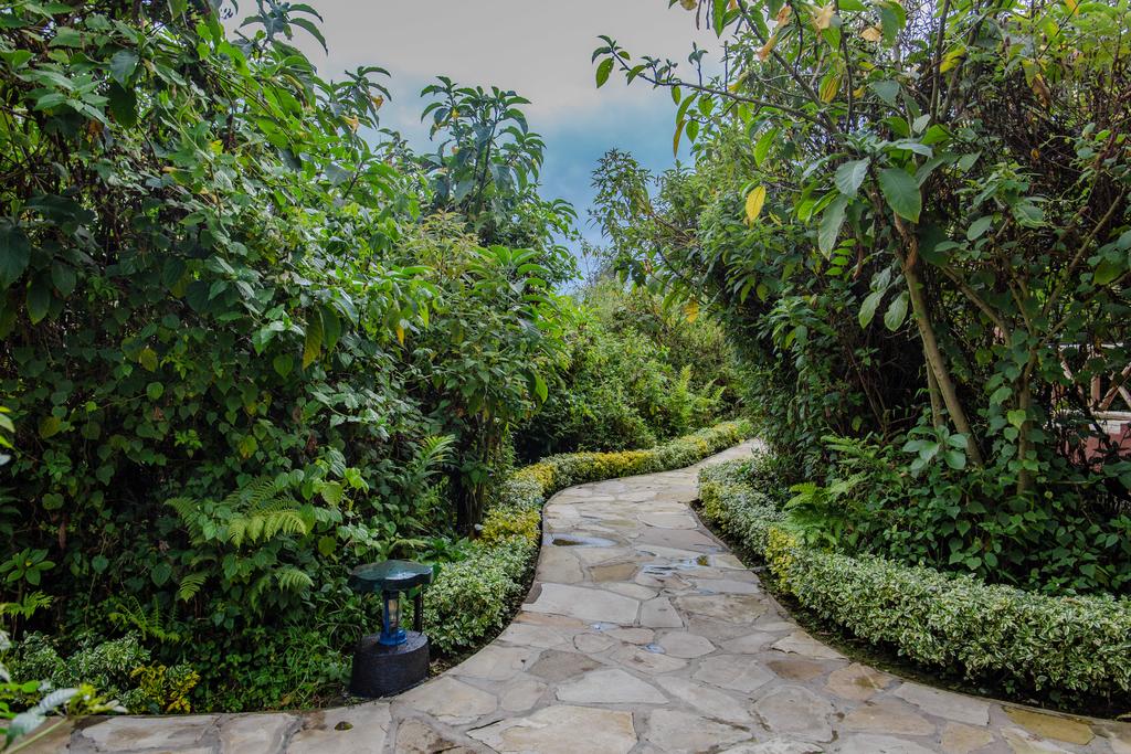 Ingagi Park View Lodge| Neza SAFARIS