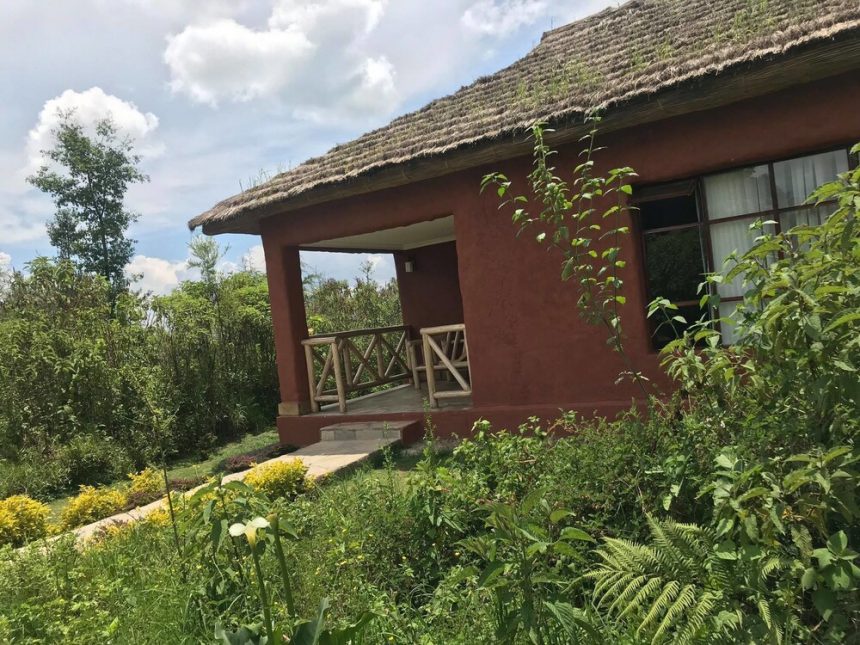 Ingagi Park View Lodge