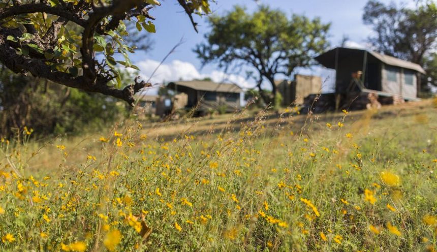 Karenge Bush Camp Karenge Bush Camp