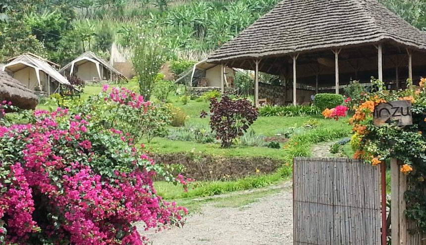 Inzu Lodge Inzu Lodge