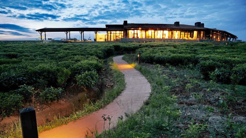 One & Only Nyungwe House