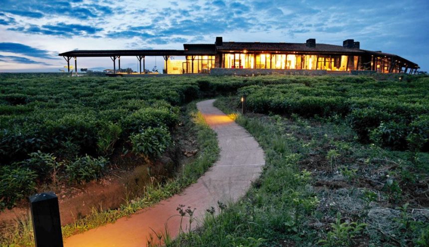 One & Only Nyungwe House