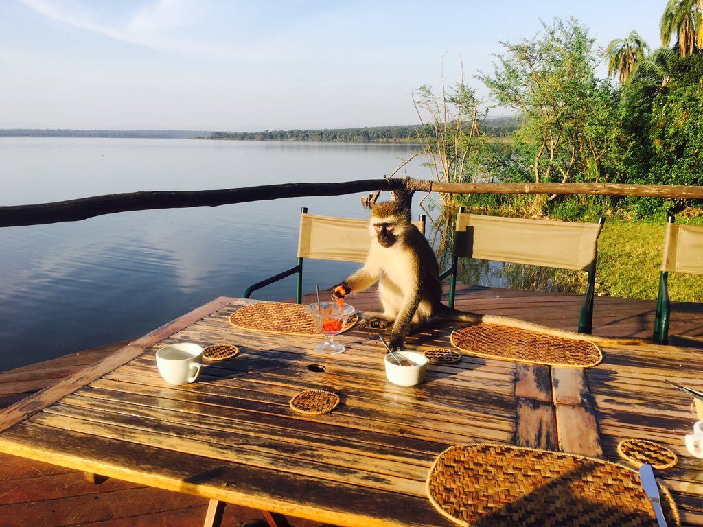 Ruzizi Tented Lodge|Neza SAFARIS