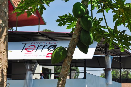Terra Restaurant & Grill -Neza SAFARIS