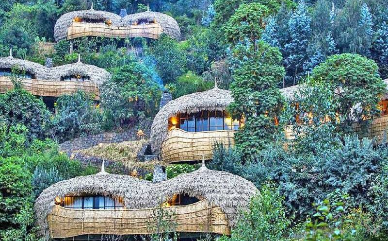 Bisate Lodge Bisate Lodge