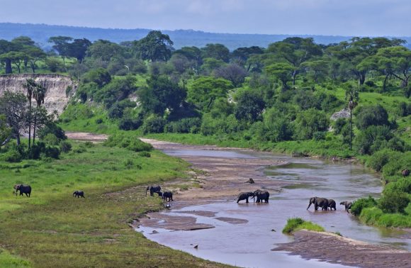 Tanzania – Northern Tanzania Safari