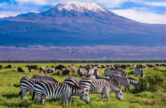 Kenya – 7Days Classic Featuring Safari