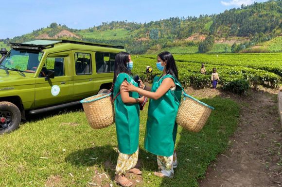 Rwanda Tea Plantation Tours and Experiences